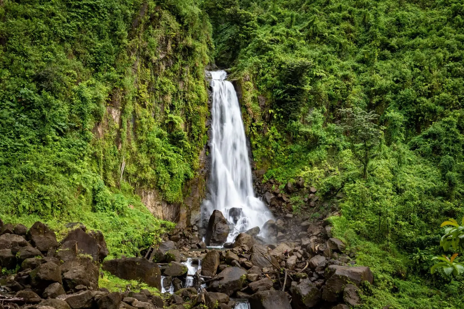 Trafalgar Falls surrounded by rainforest in Dominica