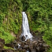 Trafalgar-Falls in Marigot Dominica